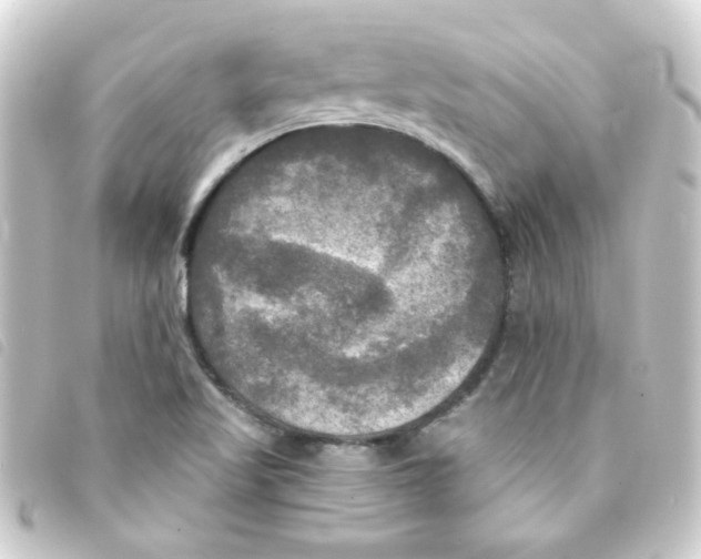 X0000093251509200710241304