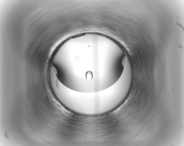 X0000093251510200710241304