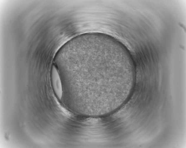 X0000093251513200710241304