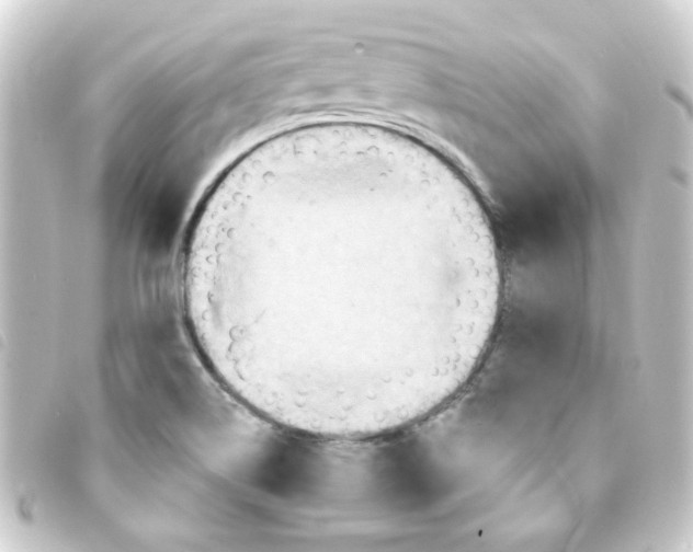 X0000093251514200710241304