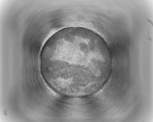 X0000093251517200710241304