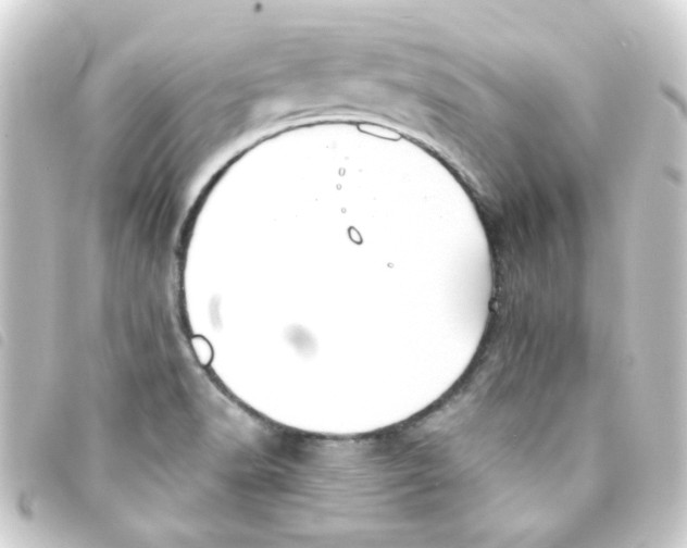 X0000093251518200710241304