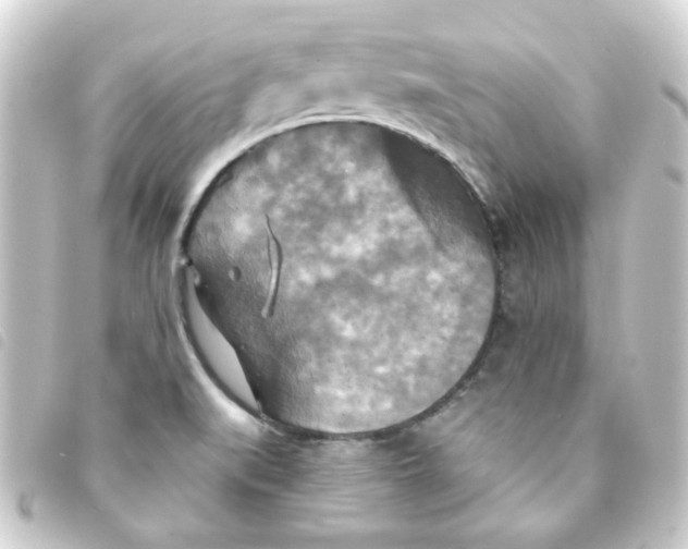 X0000093251519200710241304