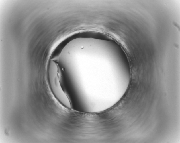 X0000093251520200710241305