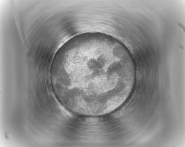 X0000093251521200710241305