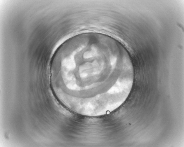 X0000093251522200710241305