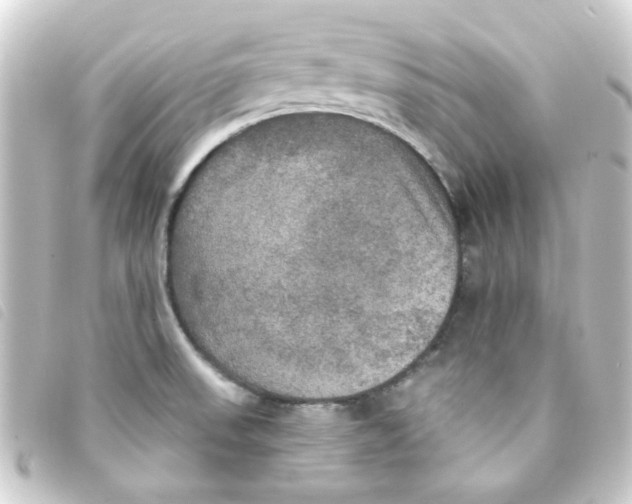 X0000093251523200710241305