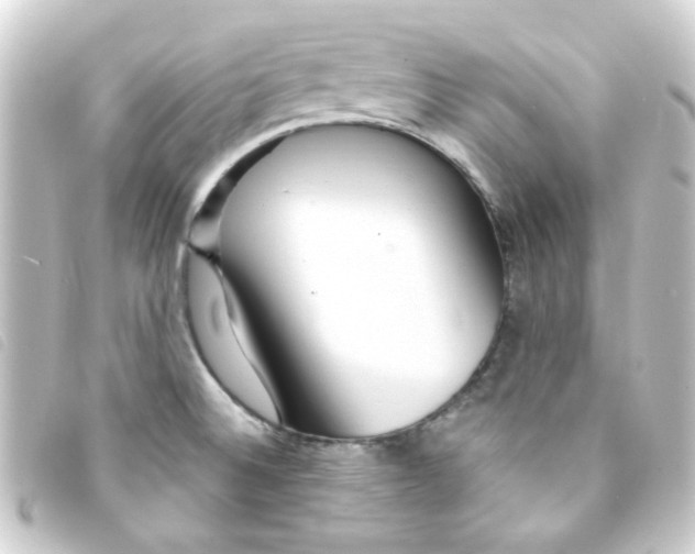 X0000093251524200710241305