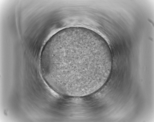 X0000093251525200710241305