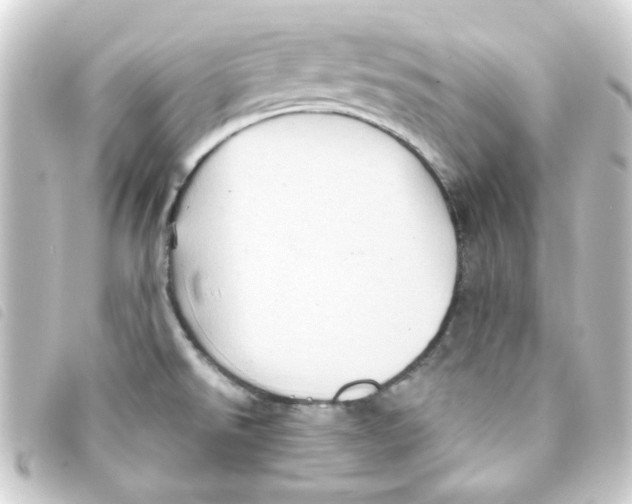 X0000093251526200710241305