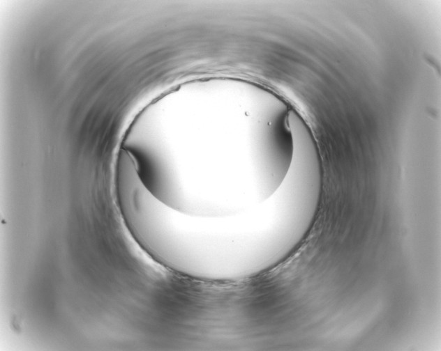 X0000093251528200710241305