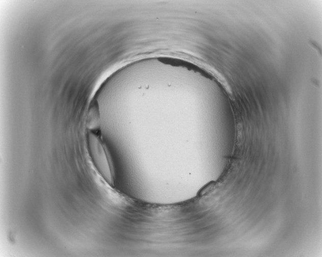 X0000093251530200710241305