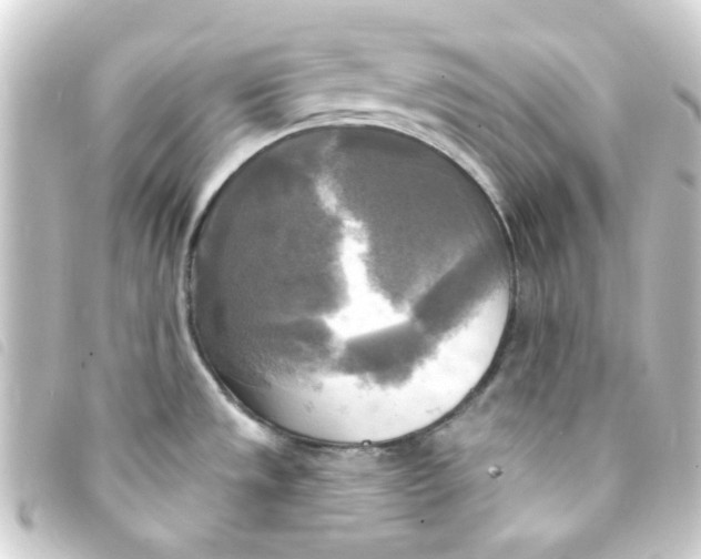 X0000093251533200710241305