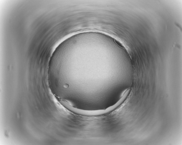 X0000093251534200710241305