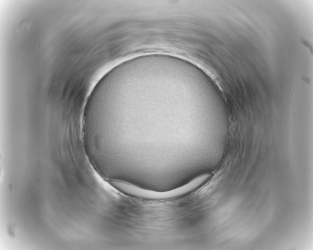 X0000093251535200710241305