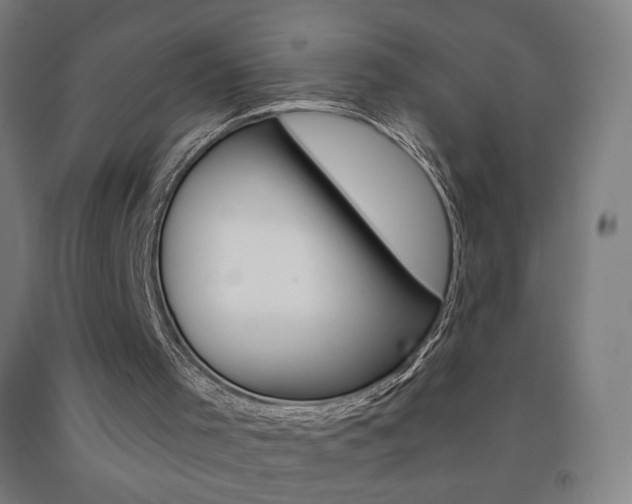 X0000093260001200709261628