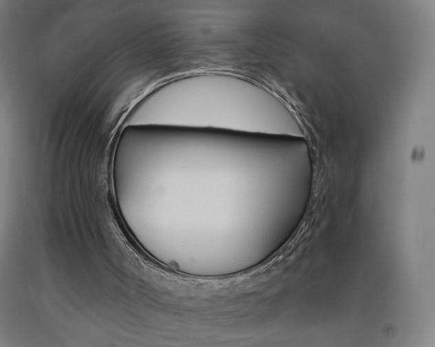 X0000093260002200709261628