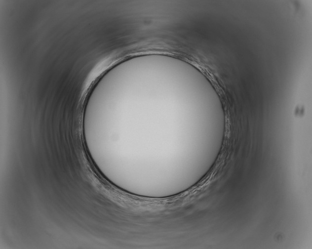 X0000093260004200709261628