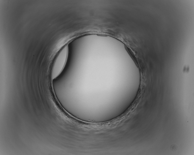X0000093260005200709261628