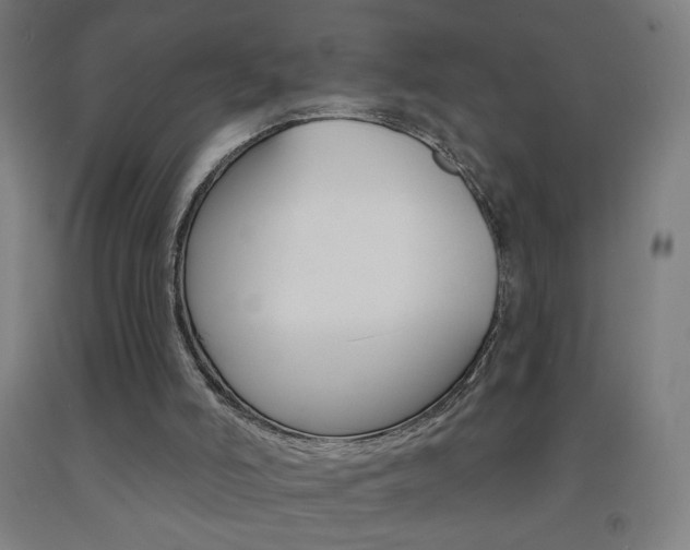 X0000093260006200709261628