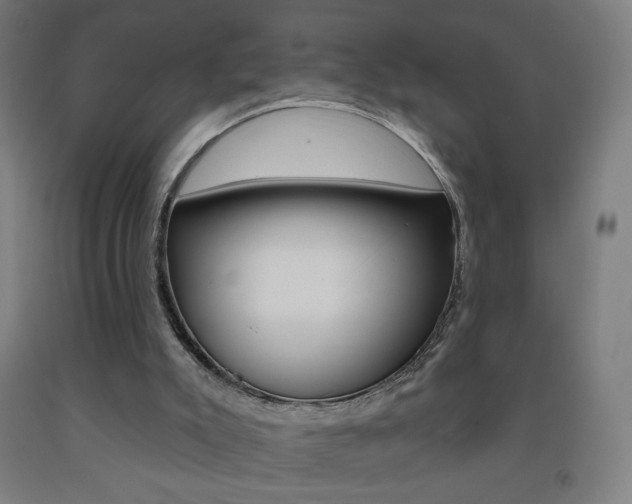 X0000093260007200709261628