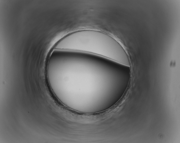X0000093260008200709261628