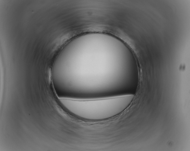 X0000093260013200709261628