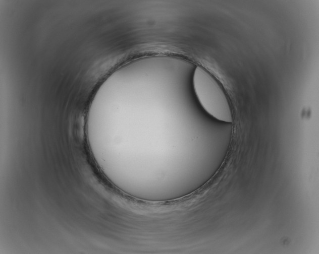 X0000093260014200709261628