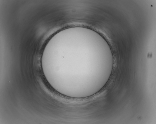X0000093260016200709261627