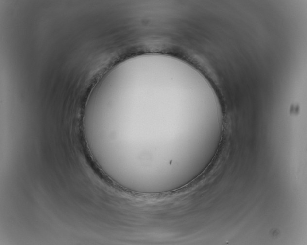 X0000093260018200709261627