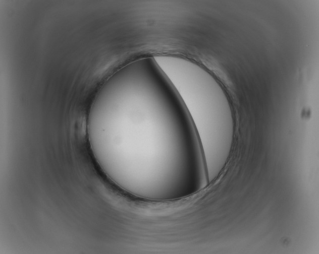 X0000093260021200709261627