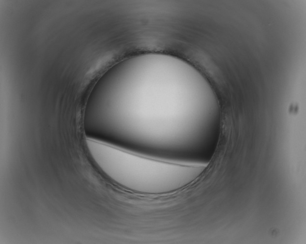 X0000093260023200709261627