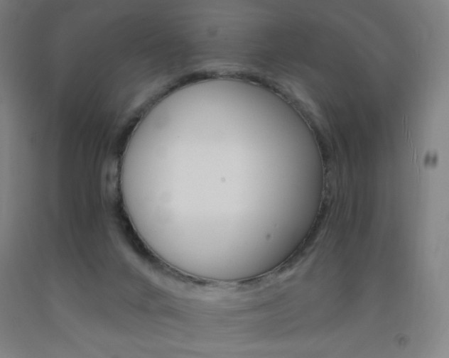 X0000093260024200709261627