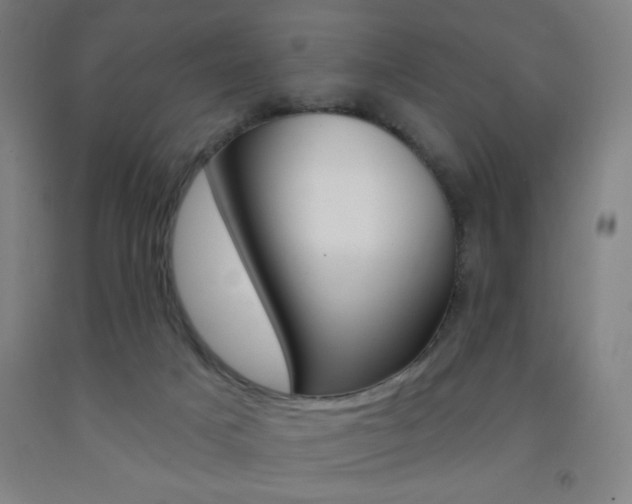 X0000093260025200709261627