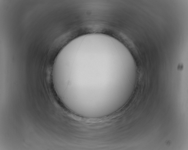 X0000093260026200709261627