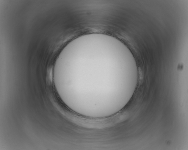 X0000093260028200709261627