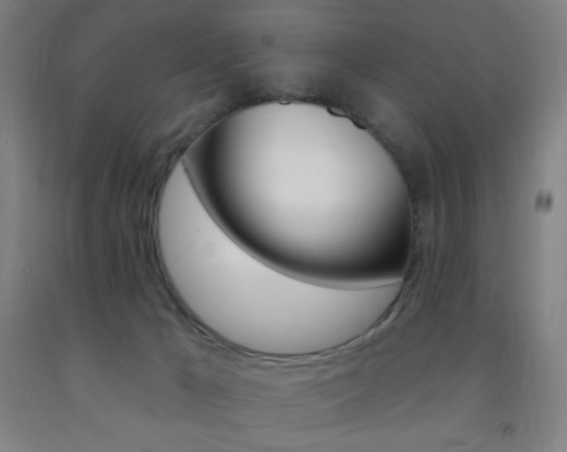 X0000093260029200709261627