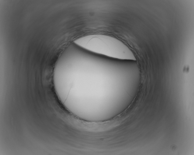 X0000093260030200709261627