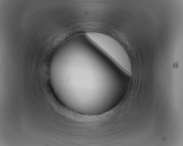 X0000093260031200709261627