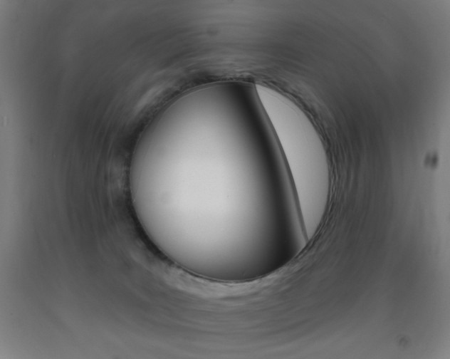 X0000093260035200709261627