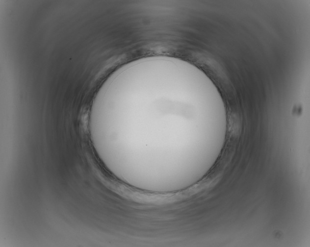 X0000093260036200709261627