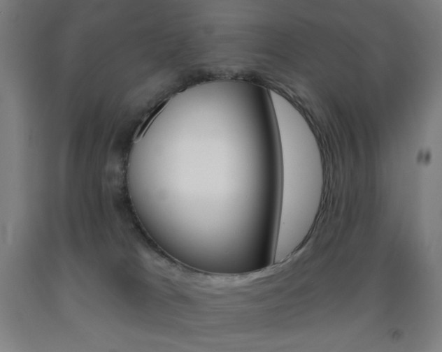 X0000093260037200709261627