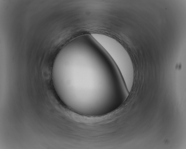 X0000093260039200709261627