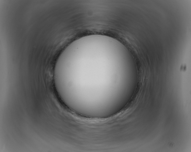X0000093260040200709261627