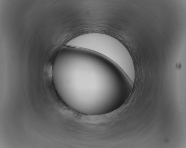 X0000093260041200709261627