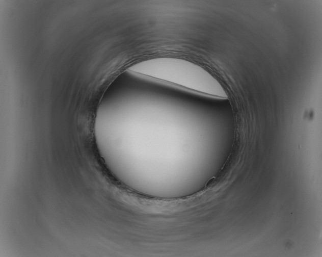 X0000093260044200709261627