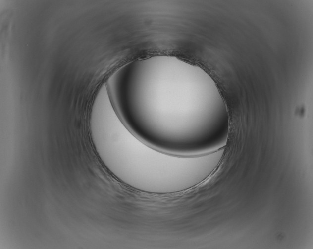 X0000093260045200709261627