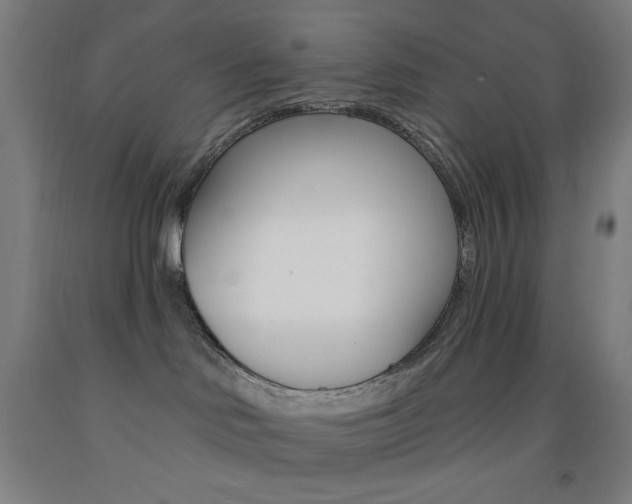 X0000093260046200709261627