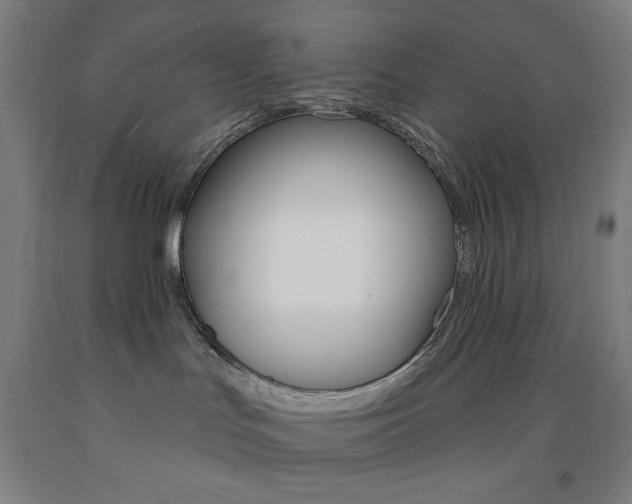 X0000093260047200709261627