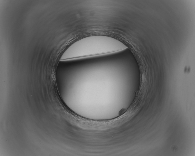 X0000093260048200709261627